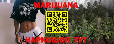 шишки Будённовск
